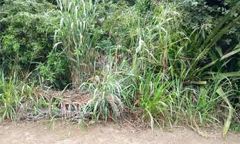 Imagem 2: Terreno à venda em Caravelas - RJ