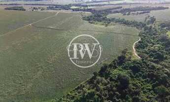 Imagem 2: Fazenda à Venda em Piracanjuba-GO com 50 Alqu. para Lavoura, Alta Produtividade
