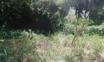 Imagem 6: Terreno Bem Localizado no Bairro Quilombo