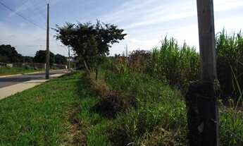 Imagem 6: Vendo Chácara em frente ao Bairro de Fátima com 35 mil metros - Escriturada