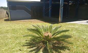 Imagem: Alugo casa em Campo Mourão PR