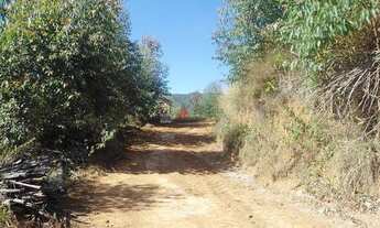 Imagem 6: Roseira - Terreno Padrão - Vargem Grande