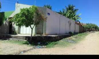 Imagem 2: Casa para alugar