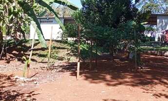 Imagem 4: Chácara próxima de Goiânia,em Bonfinópolis,com casa e muita água