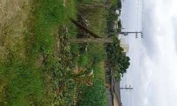 Imagem 3: Vendo terreno Araçatuba valor: $130 mil