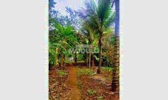 Imagem 7: Venda Chácara CONJUNTO ALVORADA