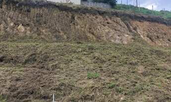 Imagem 4: Terreno à venda na avenida Tonico Lenci em Franco da Rocha