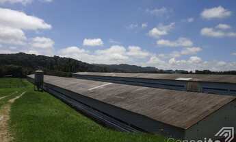 Imagem 7: Chácara - Pirai do Sul