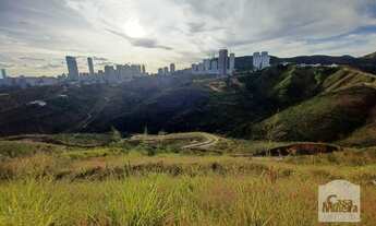 Imagem 3: Casa à Venda - Jardim da Torre, 486 m²