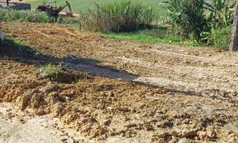 Imagem 2: Lote no centro de Antônio Carlos-SC