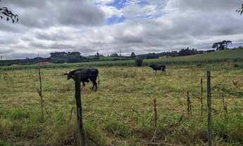 Imagem 5: Sitio em Itapetininga