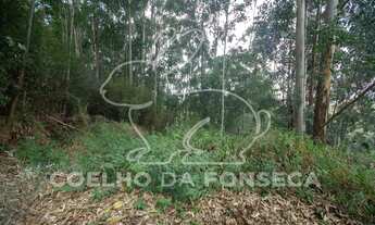 Imagem 7: Barueri - Loteamento/Condomínio - TAMBORÉ I