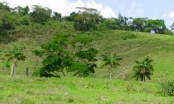 Imagem 6: VENDO EXCELENTE SÍTIO EM PIAU/MG (Ler a descrição completa