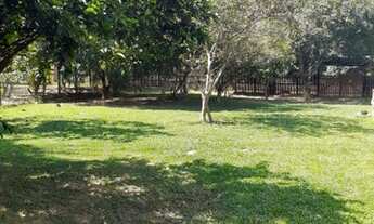 Imagem 3: Chácara na curva do tucumã