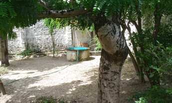 Imagem 2: Casa com 3 quartos