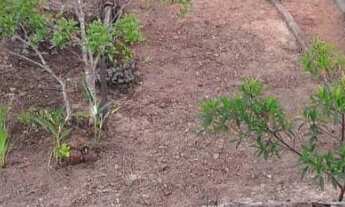 Imagem 3: Casa Casa com 2 dormitórios