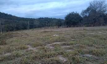 Imagem 7: Fazenda/sítios/chácaras com 1 dormitório à venda em Ribeirão Das Neves