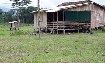 Imagem 5: Vende se uma Fazenda 60 Alq. em Guaraqueçaba e um Sitio em Paranaguá 14 Alq