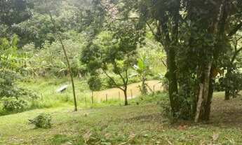 Imagem 4: Sítio com 2,5 hectares com muita água , na zona rural de gravata !