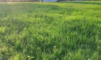 Imagem 5: Repasse Fazenda Real 2