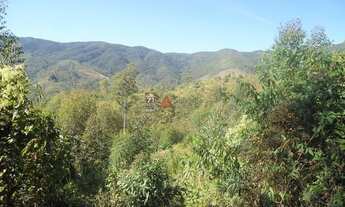 Imagem 7: Roseira - Terreno Padrão - Vargem Grande