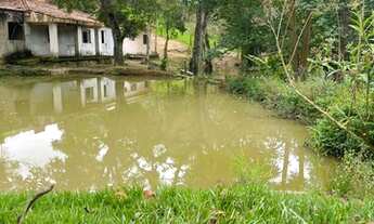 Imagem: E07- Saia do aluguel