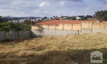 Imagem 6: Casa à Venda - Trevo, 652 m²