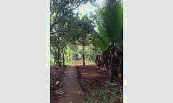 Imagem 6: Venda Chácara CONJUNTO ALVORADA