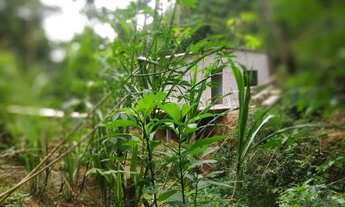 Imagem 5: Alugo casa perto do centro de Mendes rj