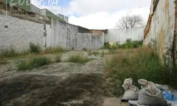 Imagem: Santo André - Terreno Padrão - Vila Metalúrgica