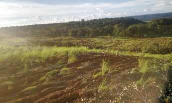 Imagem: Fazenda 50 Alqueires A venda Barato Barata