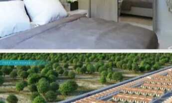 Imagem 3: Casas na planta em Paço do Lumiar - Maranhão