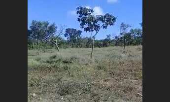 Imagem 4: Sítio top a venda