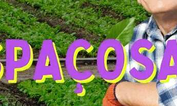 Imagem: Lotes em Condomínio próximo a Represa