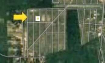 Imagem 6: Lote Tianguá - CE