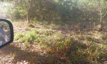 Imagem 3: Gleba 314 Hectares,Escriturada,geo Referenciada...Potencial Pastagem e Eucaliptoss