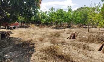 Imagem 3: Vendo sítio em Itaporanga