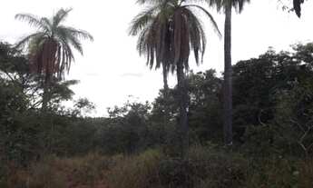 Imagem 2: Oportunidade terreno de 14 hectares,Jaboticatubas (Temos varias opções)