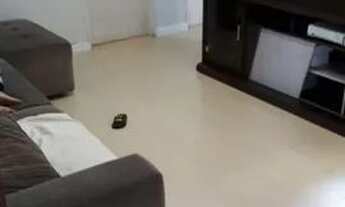 Imagem 3: Apartamento CDHU