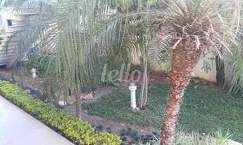 Imagem 2: São Paulo - Casa Padrão - Tremembé