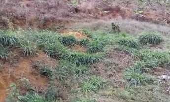 Imagem 2: Terreno no centro de Matilde