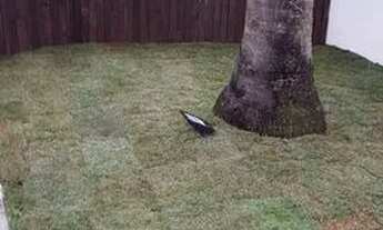 Imagem 3: Casa condomínio sobrado aluguel e venda 650 metros 4 suites alta padrão Terras do Imperado