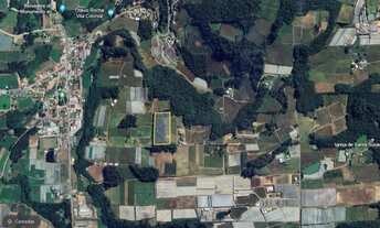 Imagem 6: Sítio com 2 Hectares e Parreiral no interior de Flores da Cunha - RS