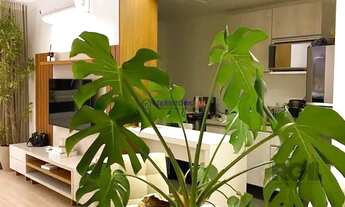 Imagem 5: Apartamento para Venda 2 dormitórios 1 vaga - Higienópolis