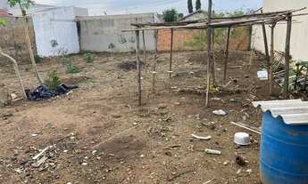 Imagem 2: Venda de Terreno / Padrão na cidade de Franca