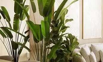 Imagem 6: Apartamento em Jockey de Itaparica - Vila Velha, ES