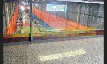 Imagem 4: Galpão 1.490m² - Brás