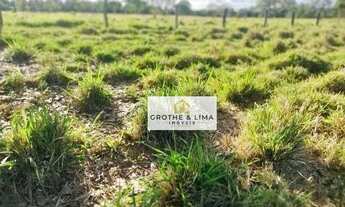 Imagem 5: Excelente fazenda à venda na região do município de Palmas-TO