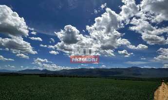 Imagem 7: Fazenda 363 alqueires ( 1.760 hectares ) Colinas do Sul-GO