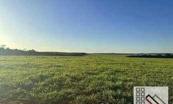 Imagem 5: FAZENDA (6.402 hectares), SEDE ESPETACULAR, TOTALMENTE EQUIPADA PARA OPERAÇÃO E PRODUÇÃO
